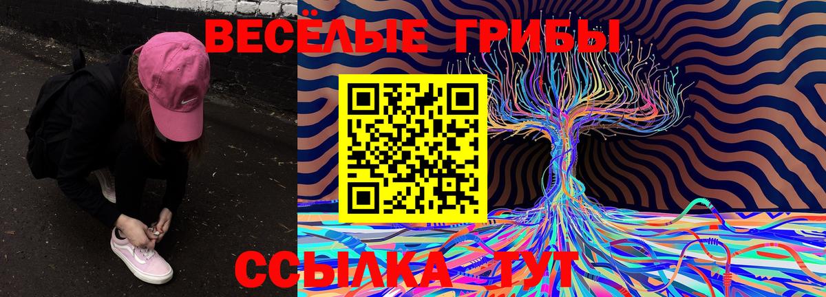 Псилоцибиновые грибы Magic Shrooms Новокубанск