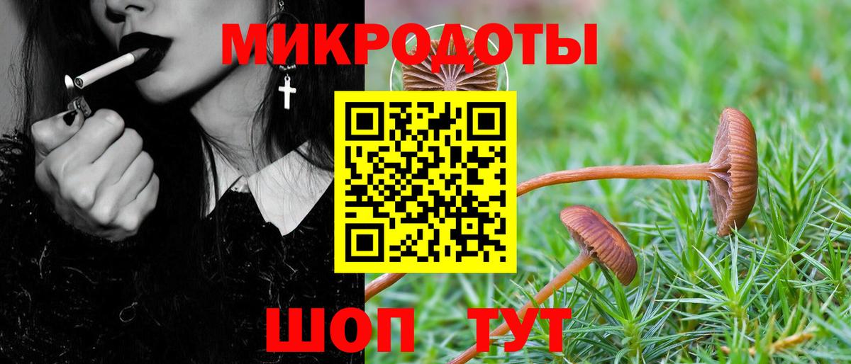 Галлюциногенные грибы мухоморы  Вход с VPN  Галлюциногенные грибы мицелий  Новокубанск 