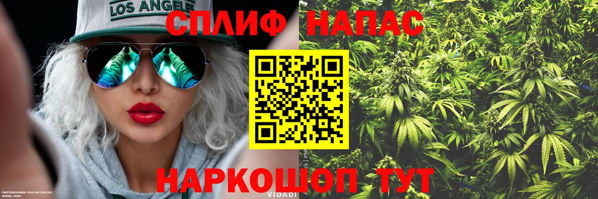 Новокубанск  Каннабис планчик  Бошки Шишки AK-47  МАРИХУАНА марихуана  Конопля конопля  Вход с VPN 